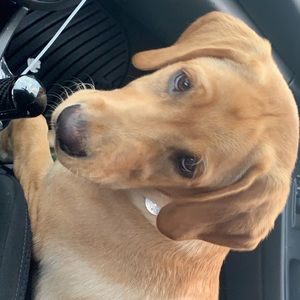 Meet your Posher, Kyle